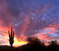 Phoenix Vacations and Planning Your Babymoon