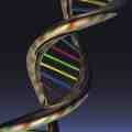 DNA Testing and Privacy Rights