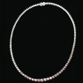 Roz Warner: The Necklace
