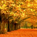 Positive Aging