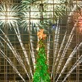 Christmas on the Potomac