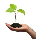Developing an Entrepreneurial Culture