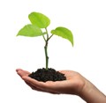 Starting Your Own Small Business