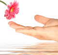 Fertility Through Chinese Medicine