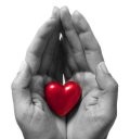 Cardiac Regeneration