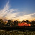 Poppies, Villa Rentals, and the How to Tour Italy Project