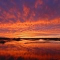 Louisiana\'s Other Side
