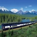 All Aboard the Alberta Train!