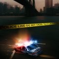 The Role of the Community in Reducing Crime and Violence