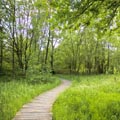 A Walk in the Park