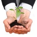 Starting a Small Business