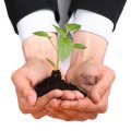 Think Big, Dream Big, Start Small