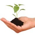 Small Business Leadership Reality