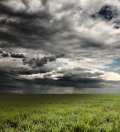 Disaster Preparation