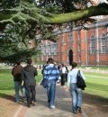 Sexual Assults on Campus