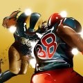 Flying with the Falcons