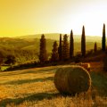 Dream of Italy