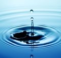 Living A Resilient Life