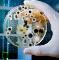 Bad Bacteria - Does the Anti-approach work?
