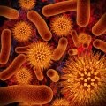 Antibiotic Resistance