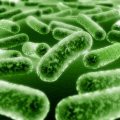 Antibiotic Resistance and Antibiotic Allergies