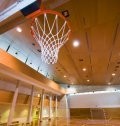 The Hardwood