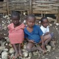 The Haitian Health Foundation