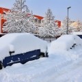 Let it Snow