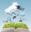 Michelle\'s Book Advice