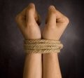 Slaves to the System