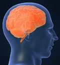 Neurologist Dr. William Hammesfahr