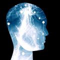 Boosting Brain Power with Wendy Suzuki, PhD