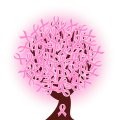 Breast Cancer Update