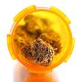 The War Against Drugs