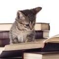 Klepto Cat Mysteries