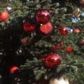 An Unmerry Christmas