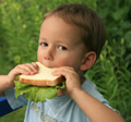 Autism, Additives, and Malignant Medical Myths
