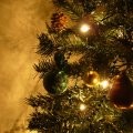Under the Tree