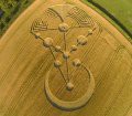 Crop Circles Decoded