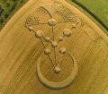 Crop Glyph Disclosure