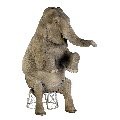 BIG