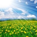 Positive Thinking Hypnotherapy