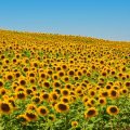 The Erotic Workshop: How to Cultivate the Garden of Self-Love