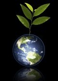Innovations in Building Sustainability