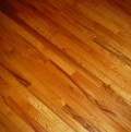 The History of Your Floor