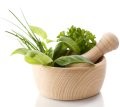 A Holistc Approach to Chronic Illness