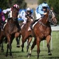 Horse Racing