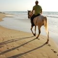 Adventures with Purpose & Equitrekking