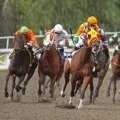 Horse, Bulls and Blown Saves