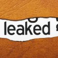Analyzing Wikileaks